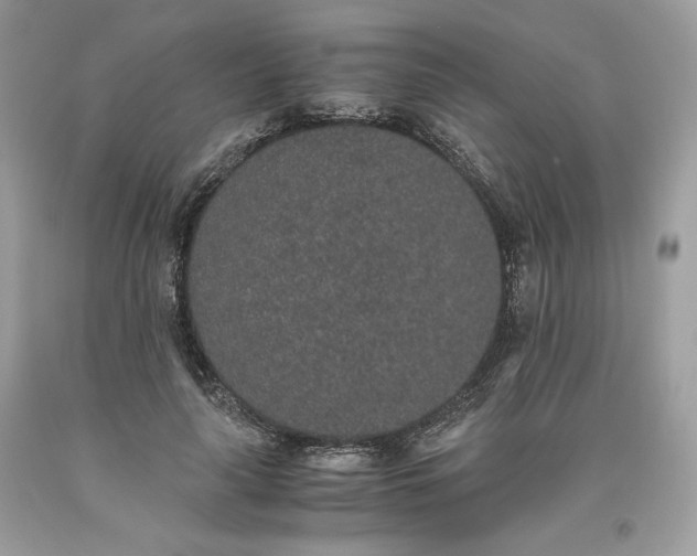 X0000093530643200710261252