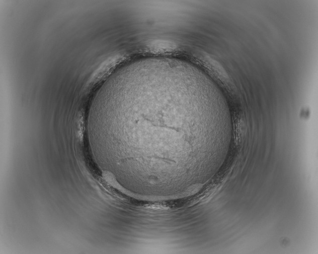 X0000093530644200710261252