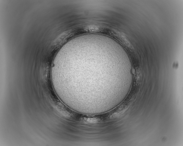 X0000093530645200710261252