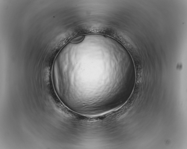 X0000093530646200710261252