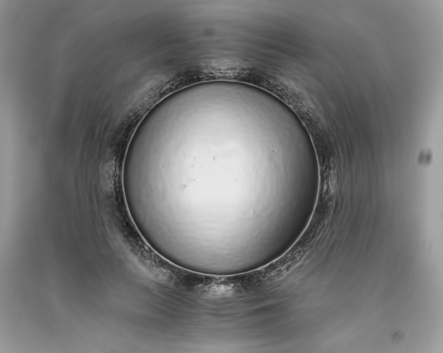 X0000093530647200710261252