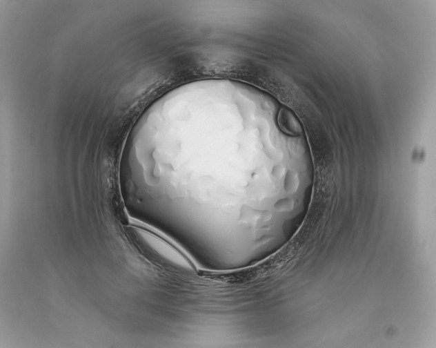 X0000093530648200710261252