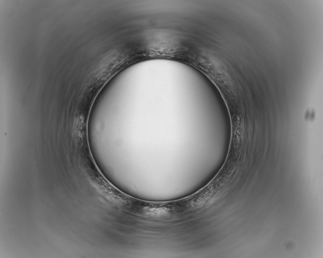 X0000093530649200710261252