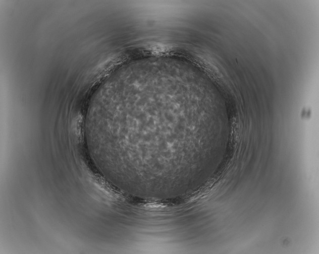 X0000093530650200710261252