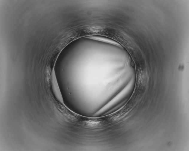 X0000093530651200710261252