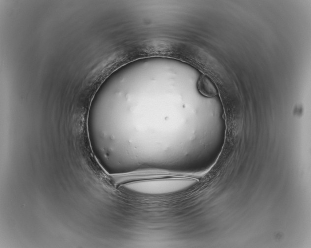 X0000093530652200710261252