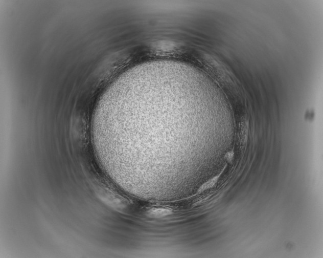 X0000093530653200710261252