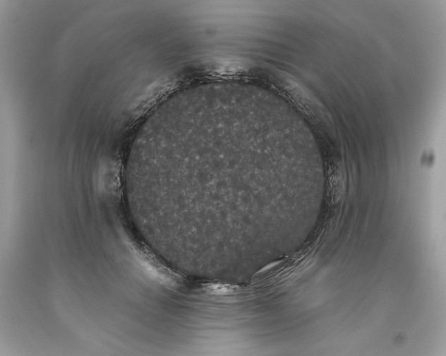 X0000093530654200710261252