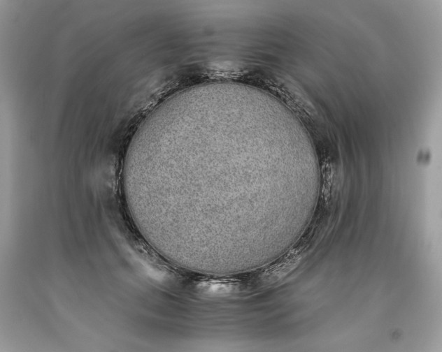 X0000093530655200710261252