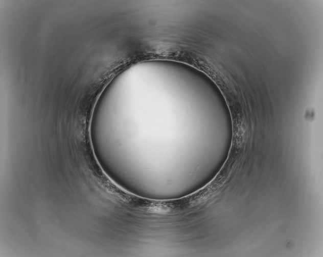 X0000093530656200710261252