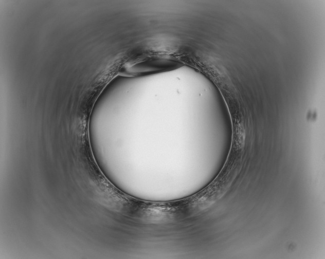 X0000093530657200710261252