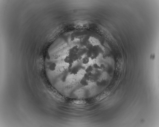 X0000093530659200710261252