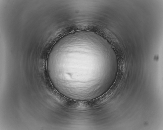 X0000093530660200710261252