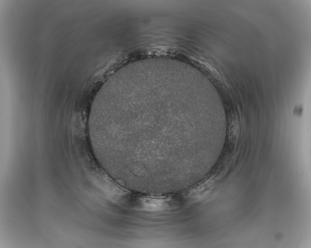 X0000093530661200710261252