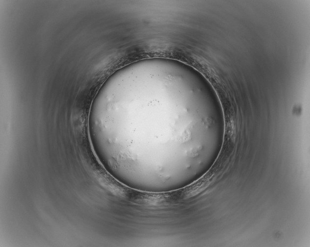 X0000093530662200710261252