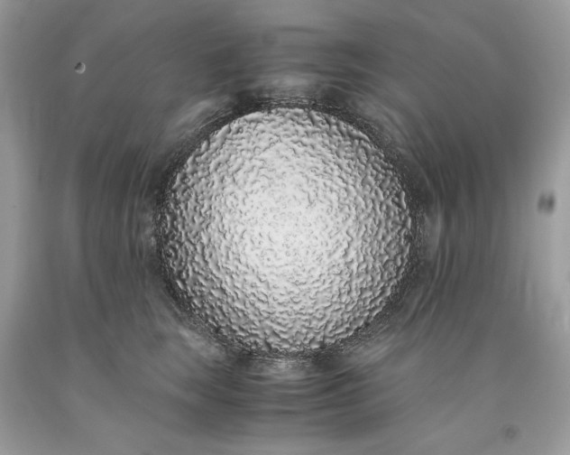 X0000093530663200710261252