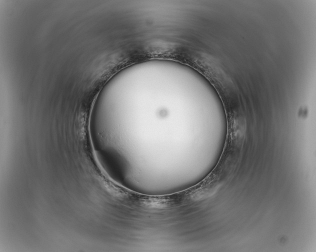 X0000093530664200710261252