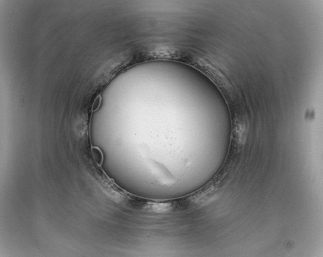 X0000093530665200710261253