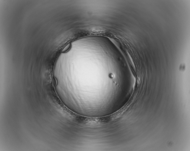 X0000093530666200710261253