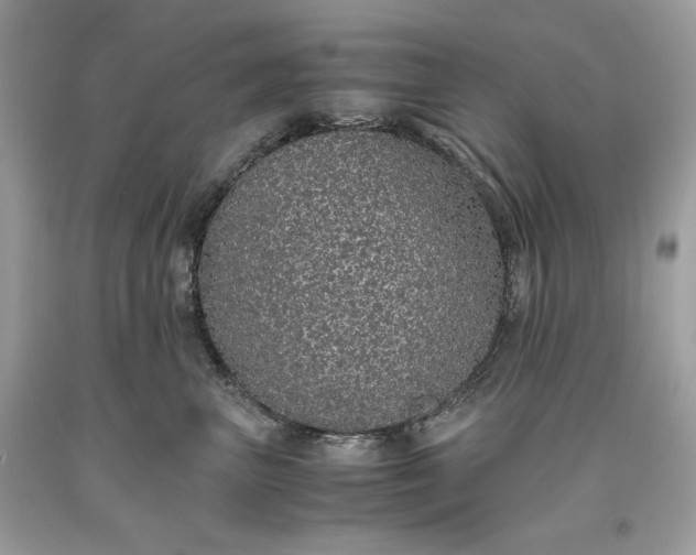 X0000093530667200710261253