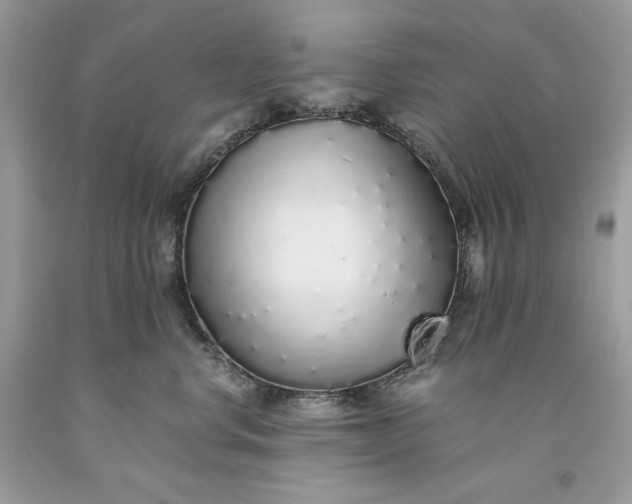 X0000093530668200710261253