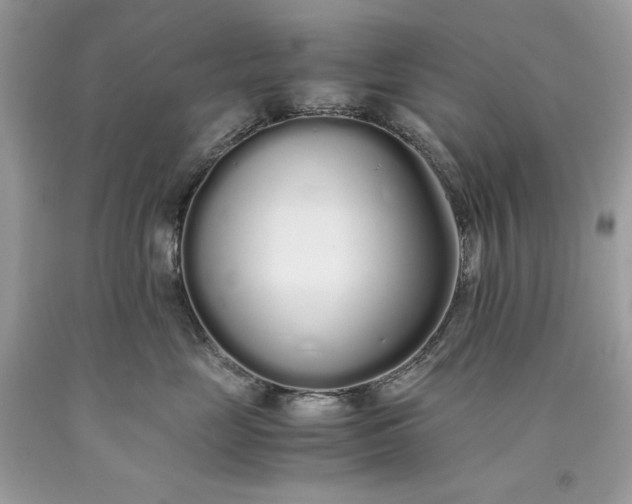 X0000093530669200710261253