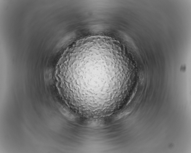 X0000093530670200710261253