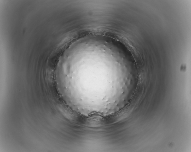 X0000093530671200710261253