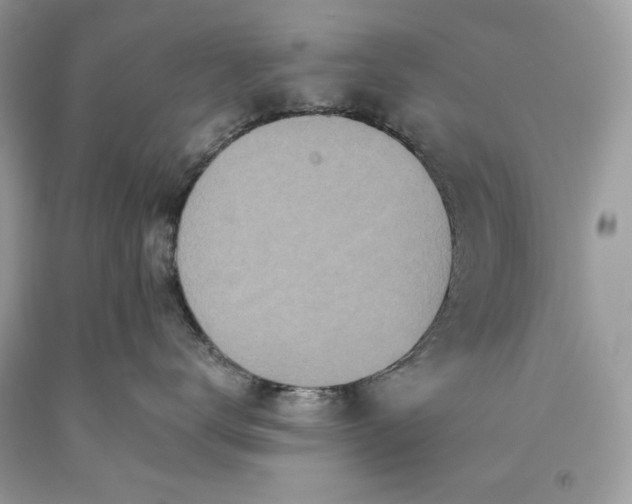 X0000093530672200710261253