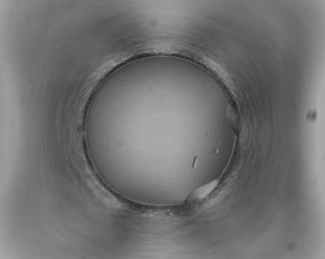 X0000093530673200710261252