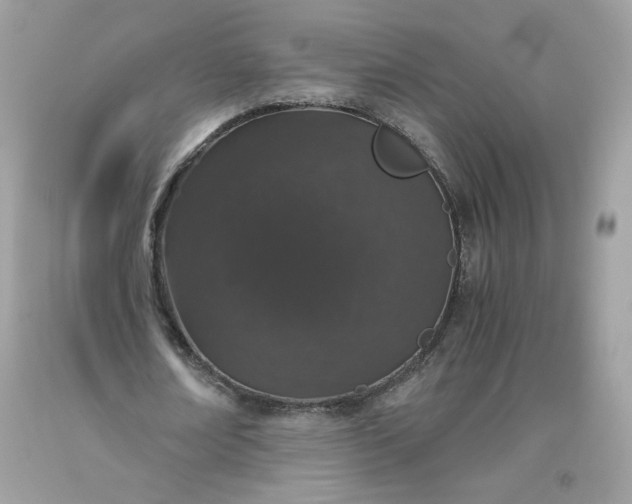 X0000093530674200710261252