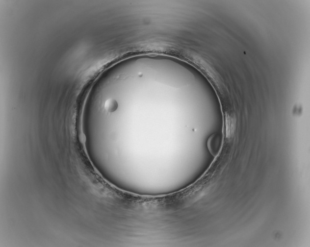 X0000093530675200710261252