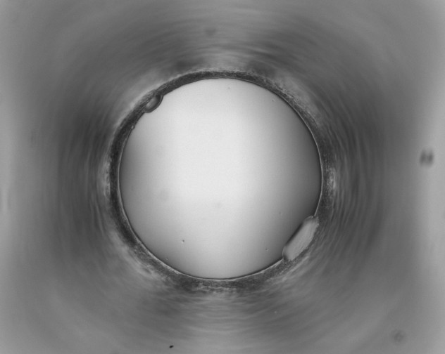 X0000093530676200710261252