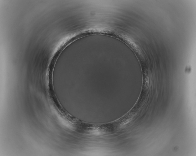 X0000093530678200710261252