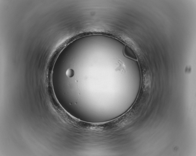 X0000093530680200710261252