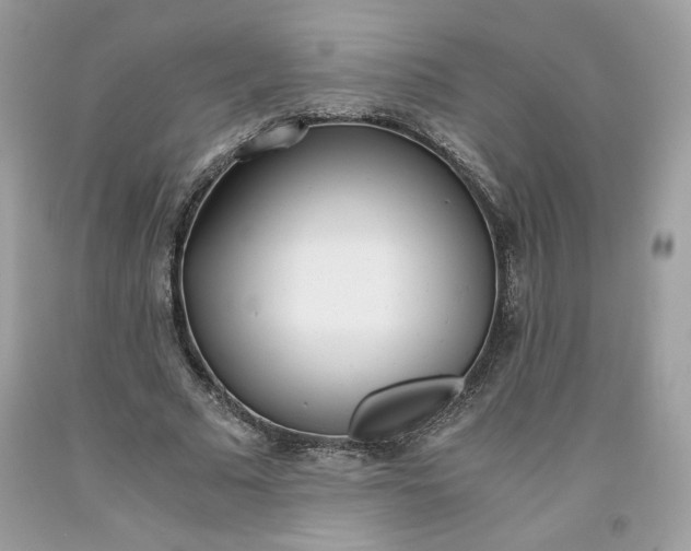 X0000093530681200710261252