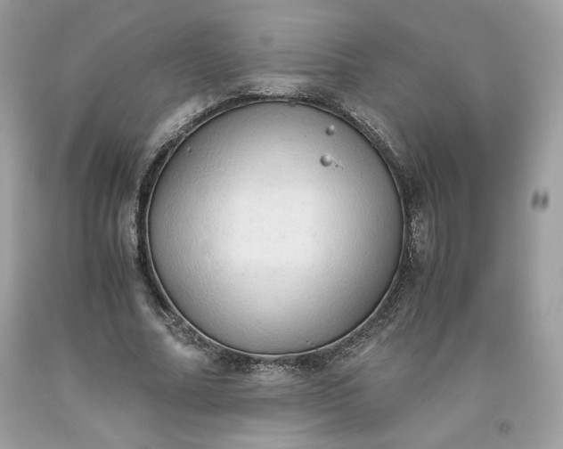 X0000093530682200710261252