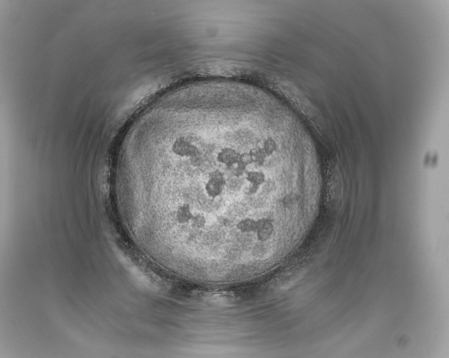 X0000093530683200710261252