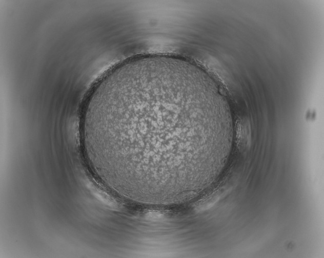 X0000093530684200710261252