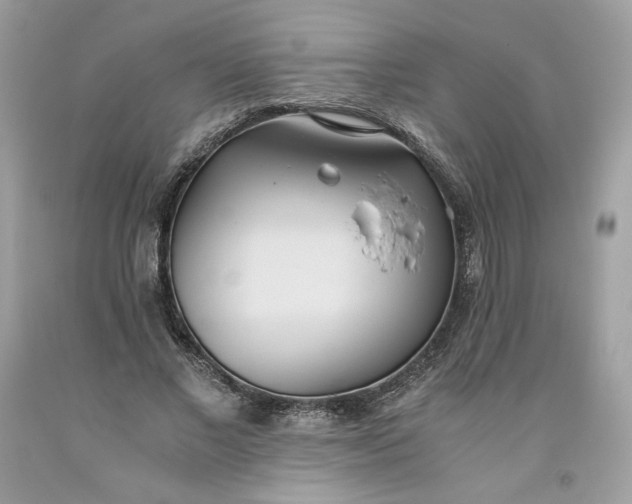 X0000093530685200710261252