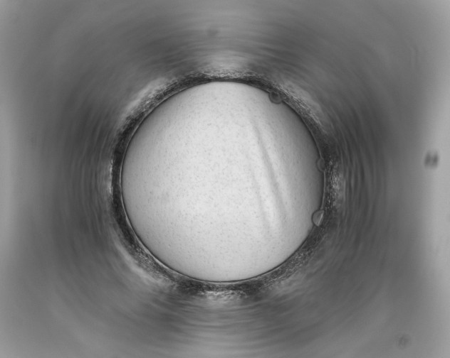 X0000093530686200710261252