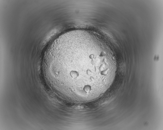 X0000093530687200710261252