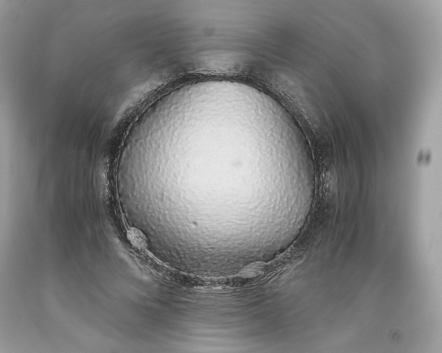 X0000093530688200710261252