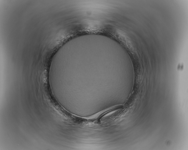 X0000093530689200710261252