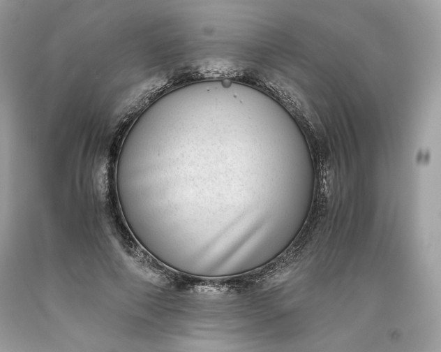 X0000093530690200710261252