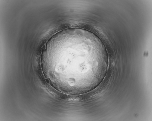 X0000093530691200710261252