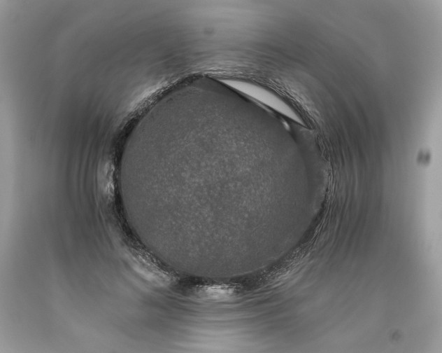 X0000093530692200710261252