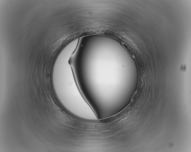 X0000093530693200710261252