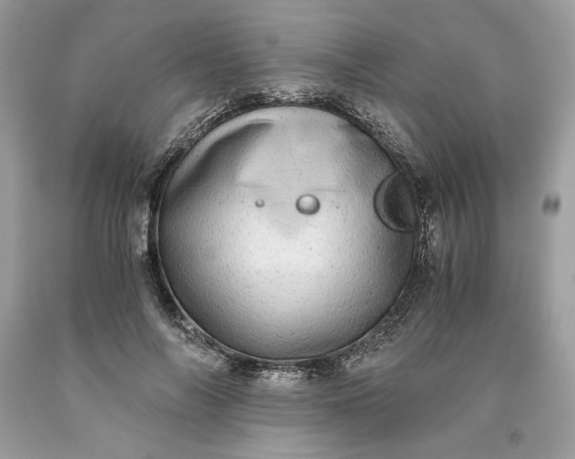 X0000093530694200710261252