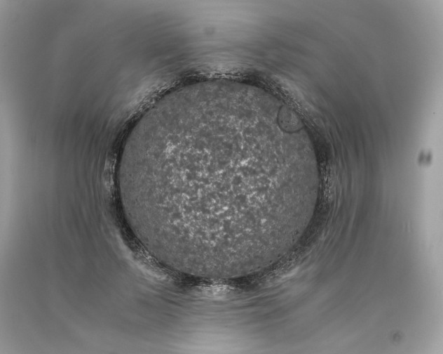 X0000093530695200710261252